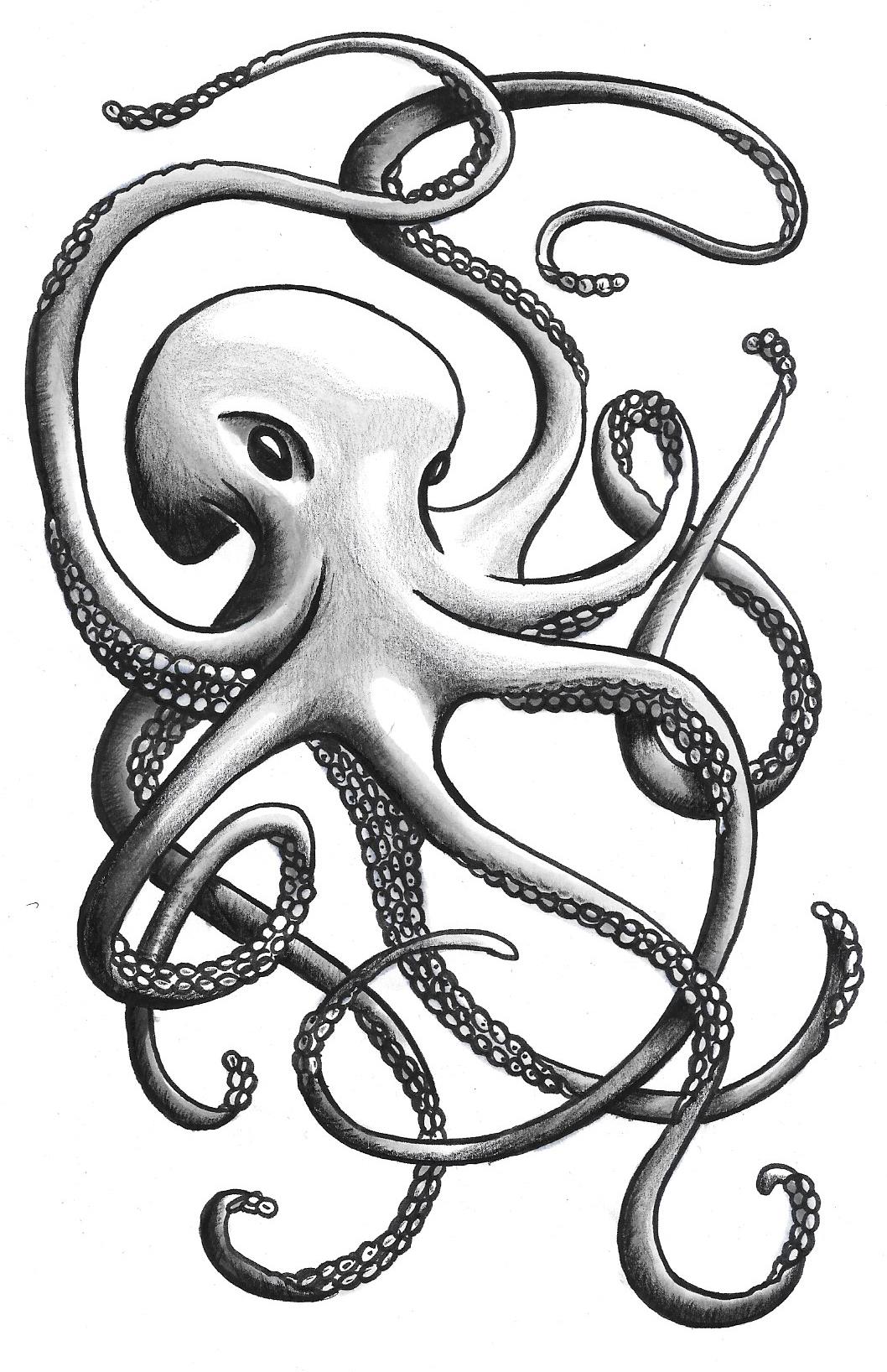 Octopus