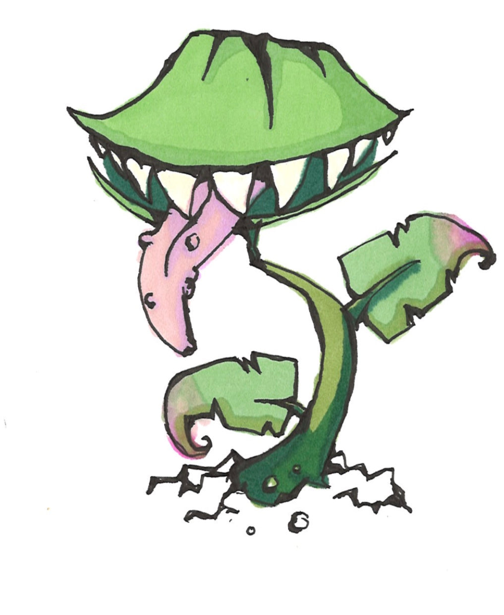 Venus FlyTrap