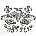 Moth