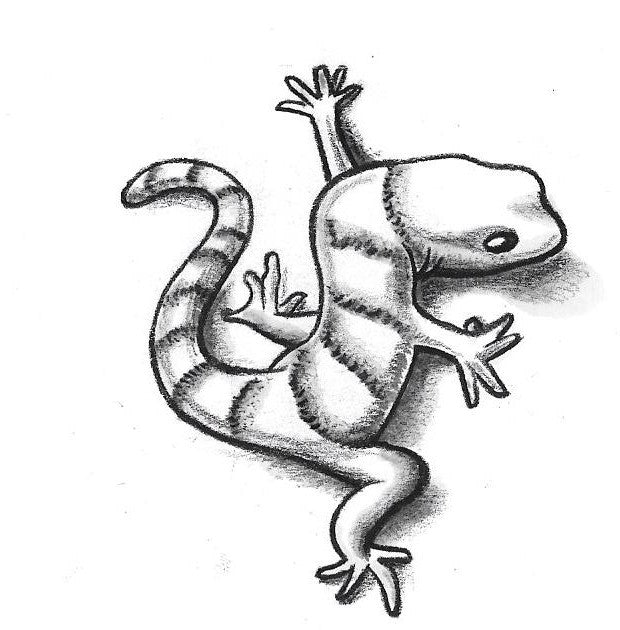 Gecko